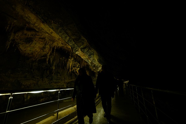 Foto - Milyonlarca yıllık mercan fosiller hayran bırakıyor