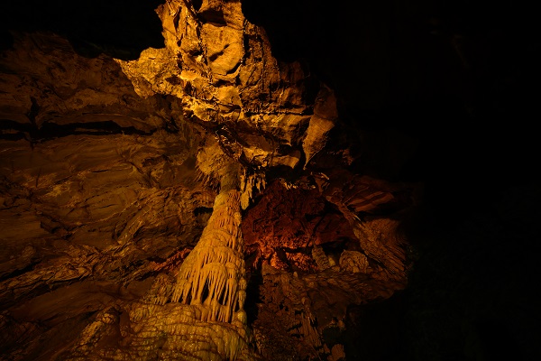 Foto - Milyonlarca yıllık mercan fosiller hayran bırakıyor