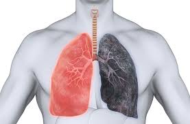 Foto - Milyonları ilgilendiren sigara haberi! Uzmanlar tavsiye etti, bunlar azaltıyor