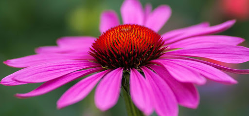 Foto - Milyonları ilgilendiren sigara haberi! Uzmanlar tavsiye etti, bunlar azaltıyor