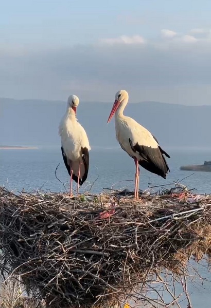Foto - Milyonların beklediği kavuşma yaşandı