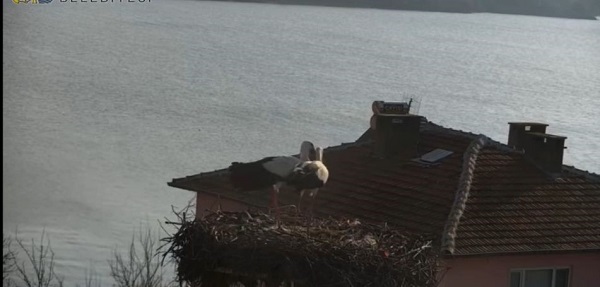 Foto - Milyonların beklediği kavuşma yaşandı