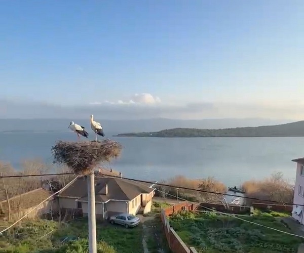 Foto - Milyonların beklediği kavuşma yaşandı