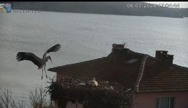 Foto - Milyonların beklediği kavuşma yaşandı