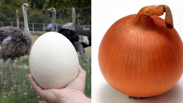 Foto - Mimar Sinan’ın eserlerinde neden soğan kullandı? Kimse bunu bilmiyor