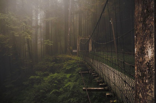 Mimarisiyle dikkat çekiyorlar