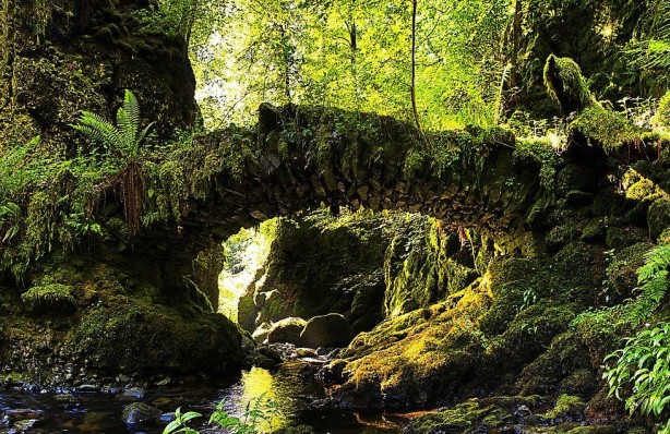 Foto - Mimarisiyle dikkat çekiyorlar