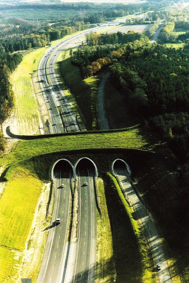 Foto - Mimarisiyle dikkat çekiyorlar