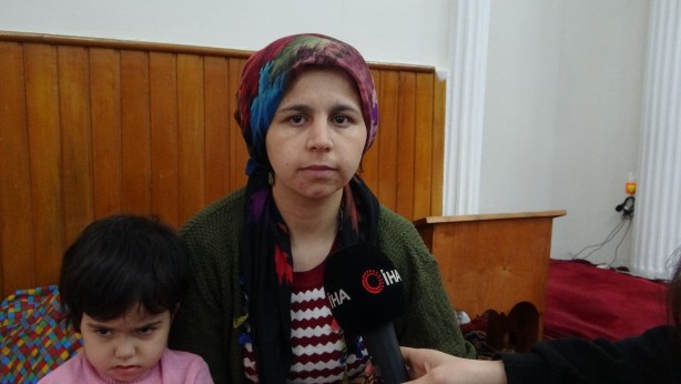 Foto - Minik Meva camide büyüyor
