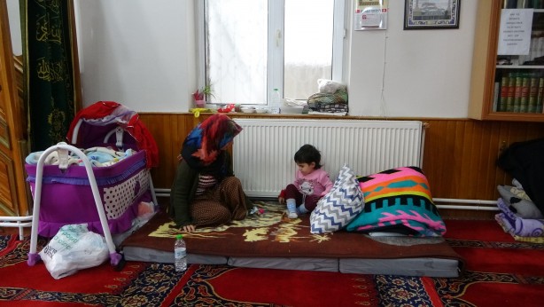 Foto - Minik Meva camide büyüyor