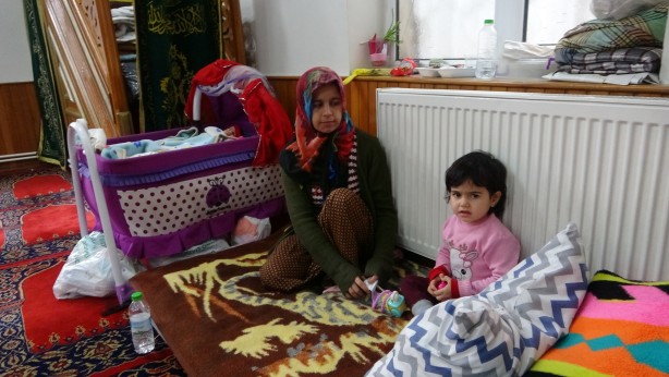Foto - Minik Meva camide büyüyor