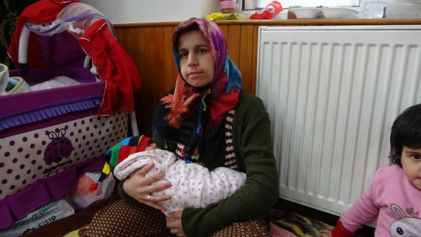 Foto - Minik Meva camide büyüyor