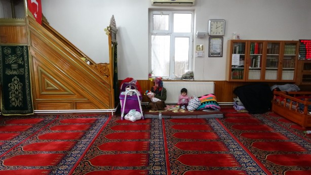 Foto - Minik Meva camide büyüyor