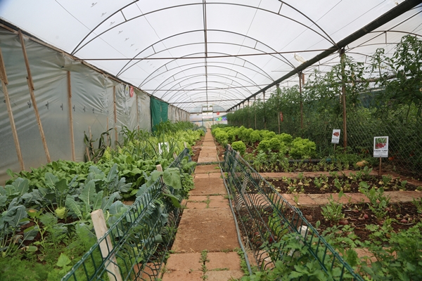 Foto - Miniklerin ürettiği ürünler depremzedelere aş oluyor