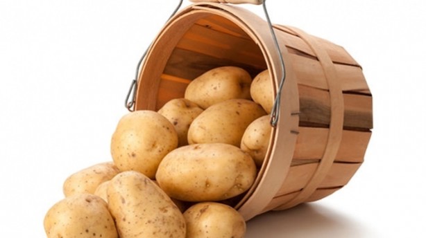 Foto - Mışıl mışıl uyumak istiyorsanız...