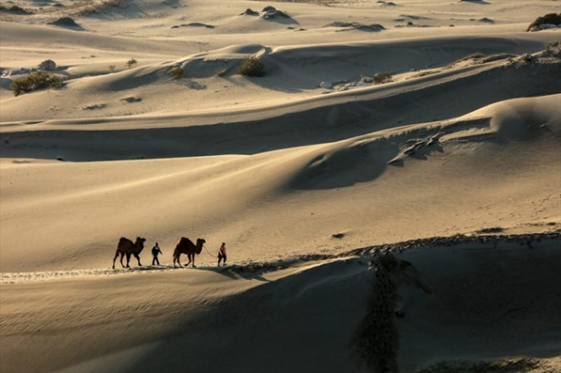 Foto - Mısır çölleri değil, Antalya Patara'sı