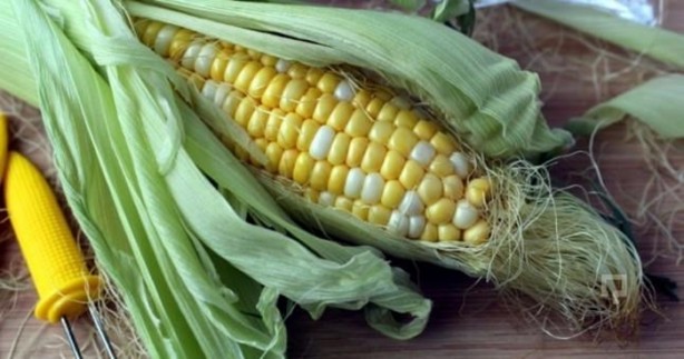 Foto - Mısır püskülü zayıflatıyor!