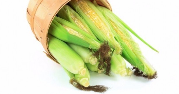 Foto - Mısır püskülü zayıflatıyor!