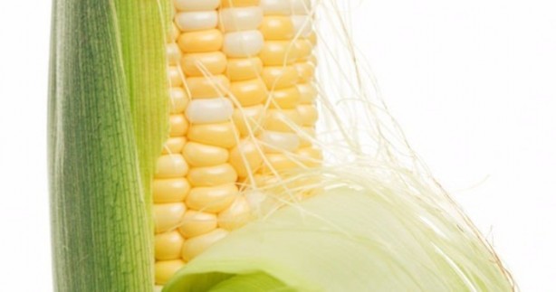 Foto - Mısır püskülü zayıflatıyor!