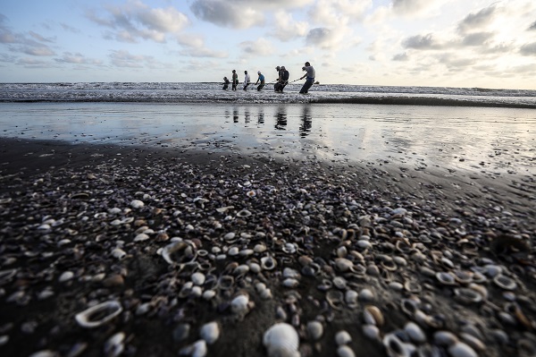 Foto - Mısır’da balıkçıların zorlu mesaisi