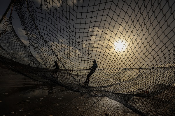 Mısır’da balıkçıların zorlu mesaisi