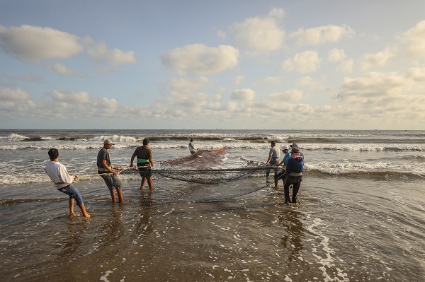 Foto - Mısır’da balıkçıların zorlu mesaisi