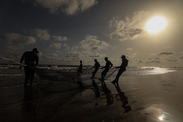 Foto - Mısır’da balıkçıların zorlu mesaisi