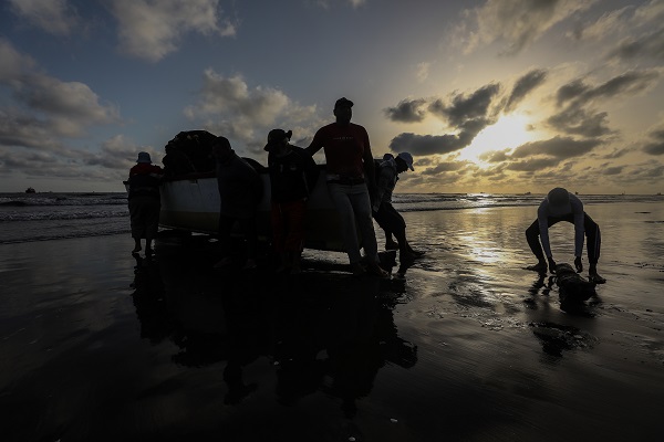 Foto - Mısır’da balıkçıların zorlu mesaisi