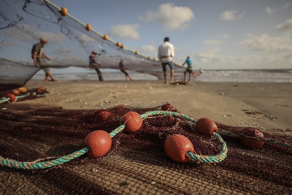 Foto - Mısır’da balıkçıların zorlu mesaisi