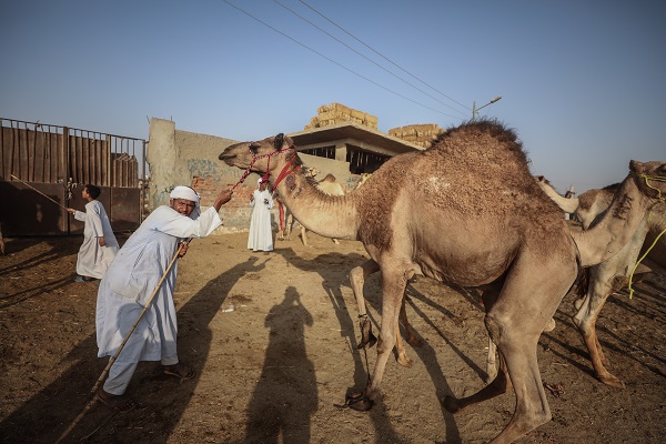 Foto - Mısır’da bayram telaşı başladı