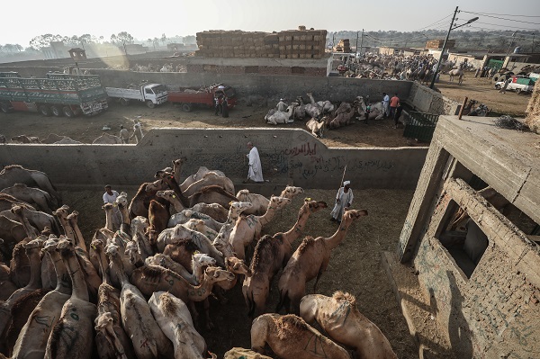 Foto - Mısır’da bayram telaşı başladı