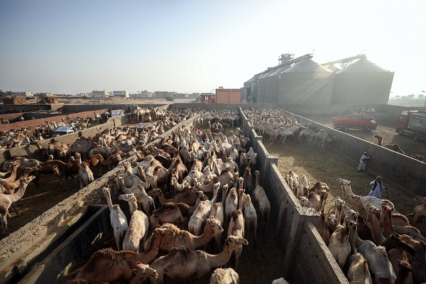 Foto - Mısır’da bayram telaşı başladı