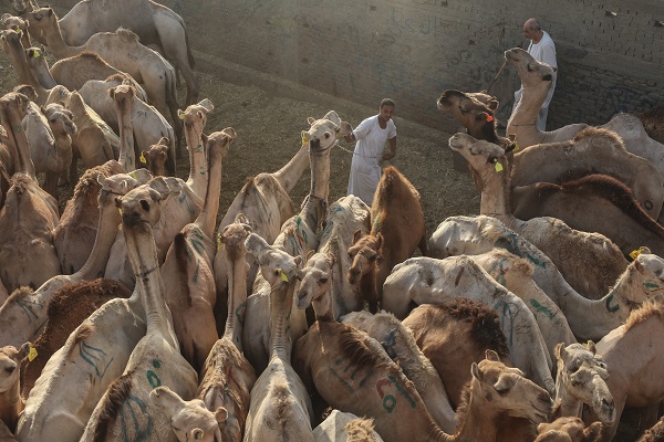 Foto - Mısır’da bayram telaşı başladı