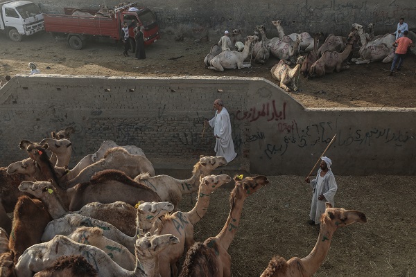 Foto - Mısır’da bayram telaşı başladı