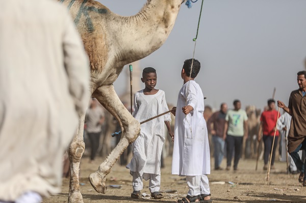 Foto - Mısır’da bayram telaşı başladı