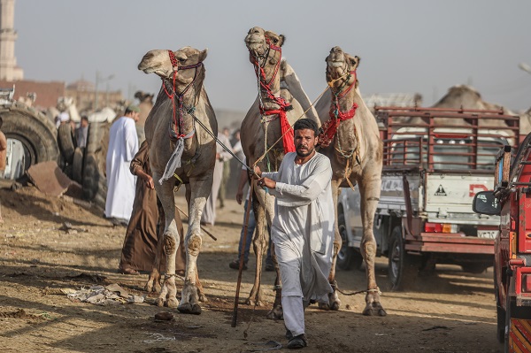 Foto - Mısır’da bayram telaşı başladı