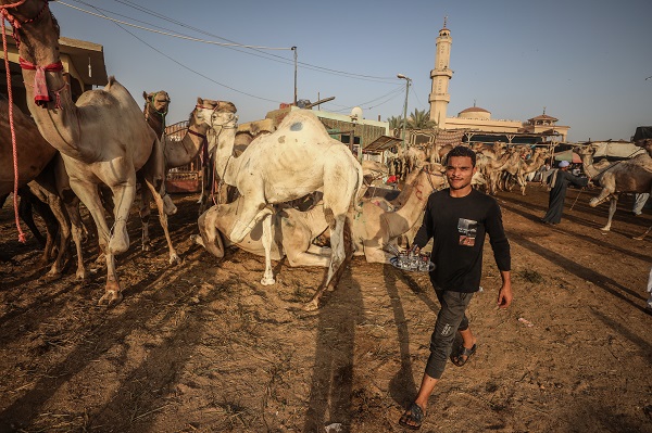Foto - Mısır’da bayram telaşı başladı