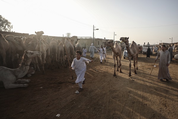 Foto - Mısır’da bayram telaşı başladı