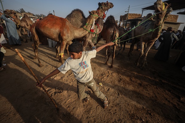 Foto - Mısır’da bayram telaşı başladı