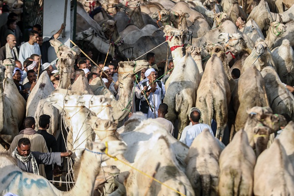 Foto - Mısır’da bayram telaşı başladı