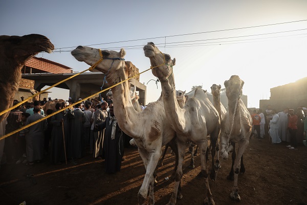 Foto - Mısır’da bayram telaşı başladı