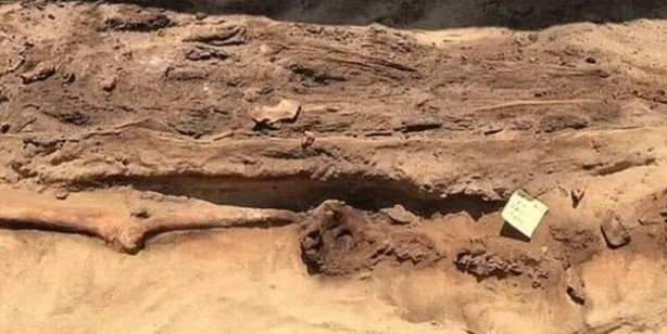 Foto - Mısır'da yeni keşif çığır açacak! Altın dilli mumya bulundu! Nedeni dünyanın en ilginç bilgisi olabilir!