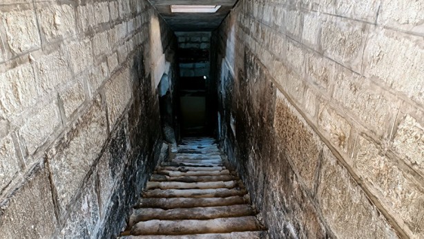 Foto - Mısır'daki 'Yeraltı Hayvan Mezarlığı' gizemini koruyor 