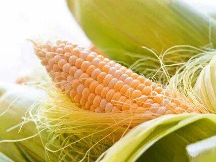 Foto - Mısırın püskülünü atmayın! Mısır püsküllerini böyle kullandığınızda çok şaşıracaksınız...