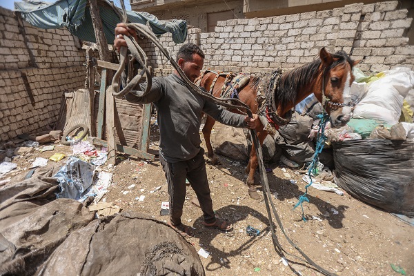 Mısırlı kağıt toplayıcının hayali şampiyon olmak