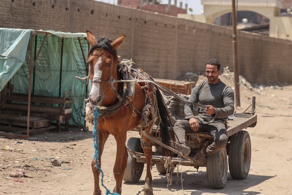 Foto - Mısırlı kağıt toplayıcının hayali şampiyon olmak