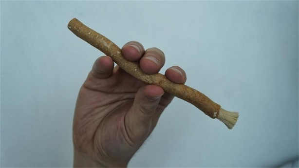 Foto - Misvağın kanıtlanmış 10 faydası