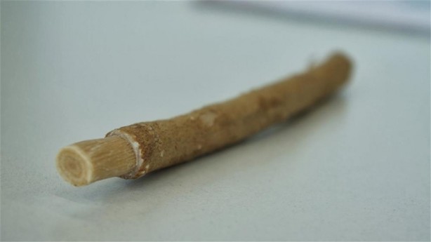 Foto - Misvağın kanıtlanmış 10 faydası