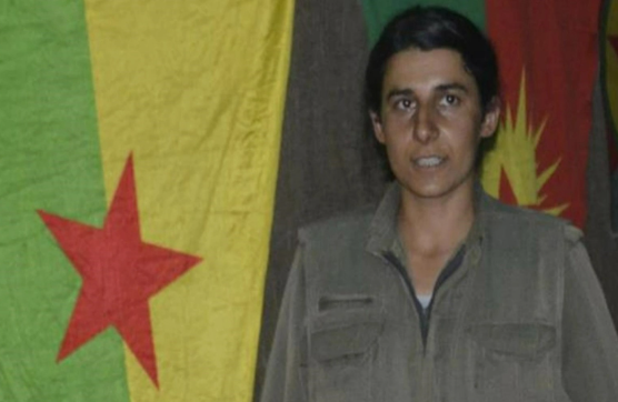 Foto - MİT PKK’nın sözde gençlik sorumlusunu etkisizLEŞtirdi