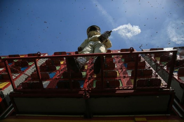 Foto - Mobil arıcılık sistemiyle doğal bal üretiyor